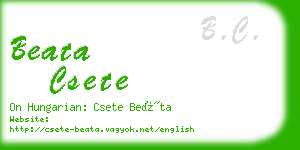 beata csete business card